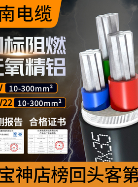 VLV22江南电缆YJLV国标铝芯2 4 5芯35 50全平方工程电线3三相四线