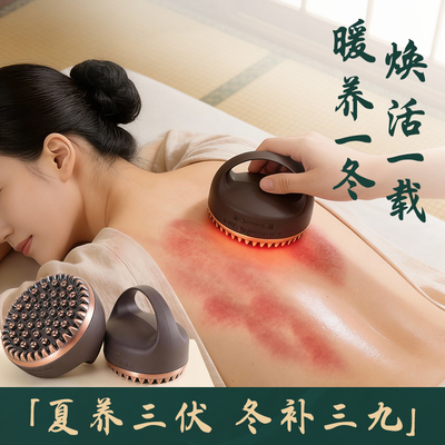 丰林美容院养生馆专用全身疏通SPA艾灸刷背经络刷刮痧仪按摩家用