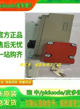 D4BL-1DRG D4BL-1DRG-A D4BL-2CRG D4BL-2CRG-A安全门开关议价