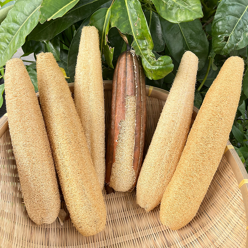 天然丝瓜瓤洗碗刷锅家用海绵擦厨房清洁刷神器天然丝瓜络