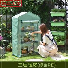 培植冬季室外花棚加温养。房前暖棚1
