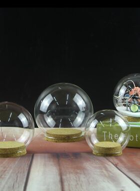 创意永生花圆球玻璃罩手办玩具diy景观防尘罩子软木塞led灯工艺品