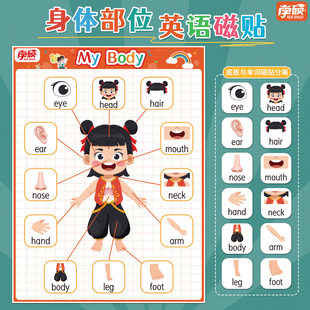 哪吒身体部位英语早教挂图英文单词图片body磁性贴儿童认知教具
