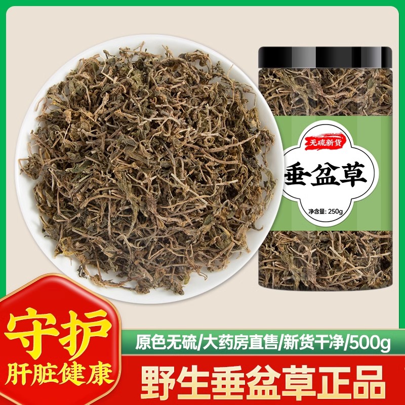 垂盆草中药材新鲜干货500g新货泡水深山垂盆草的功效锤盆草狗牙草