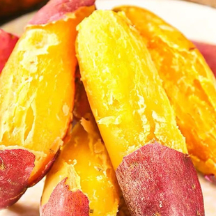 黄心板栗红薯苗济薯26地瓜苗苗红薯秧苗脱毒原种床苗包品种对版