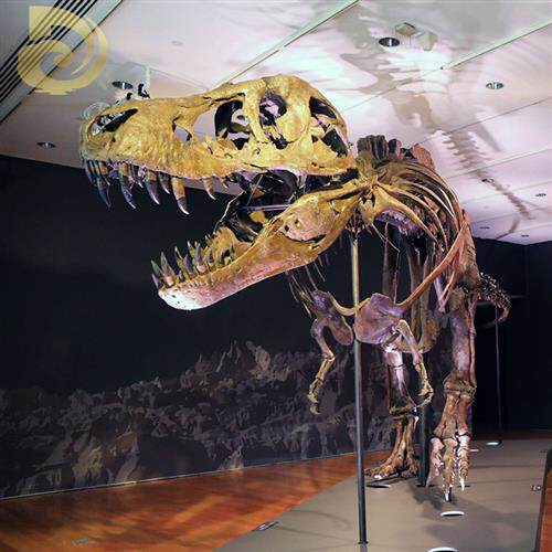 大型景观仿真霸王龙玻璃钢骨架室内博物馆恐龙骨骼化石展览雕塑