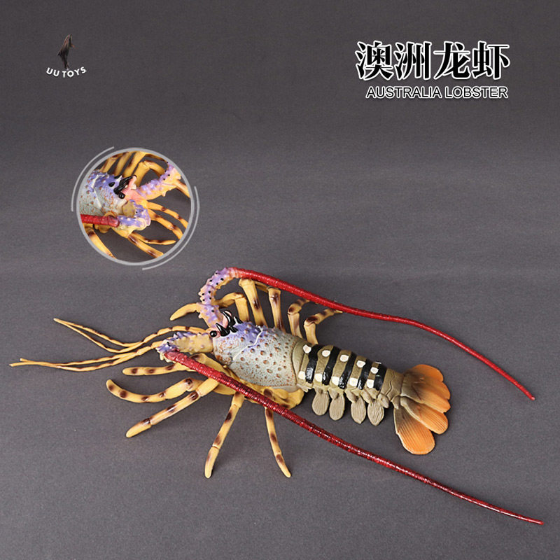 시뮬레이션 해양 생물 모델 어린이 장난감 거북이 랍스터베이스 새우 고대 동물 아로와나 정적 장식품