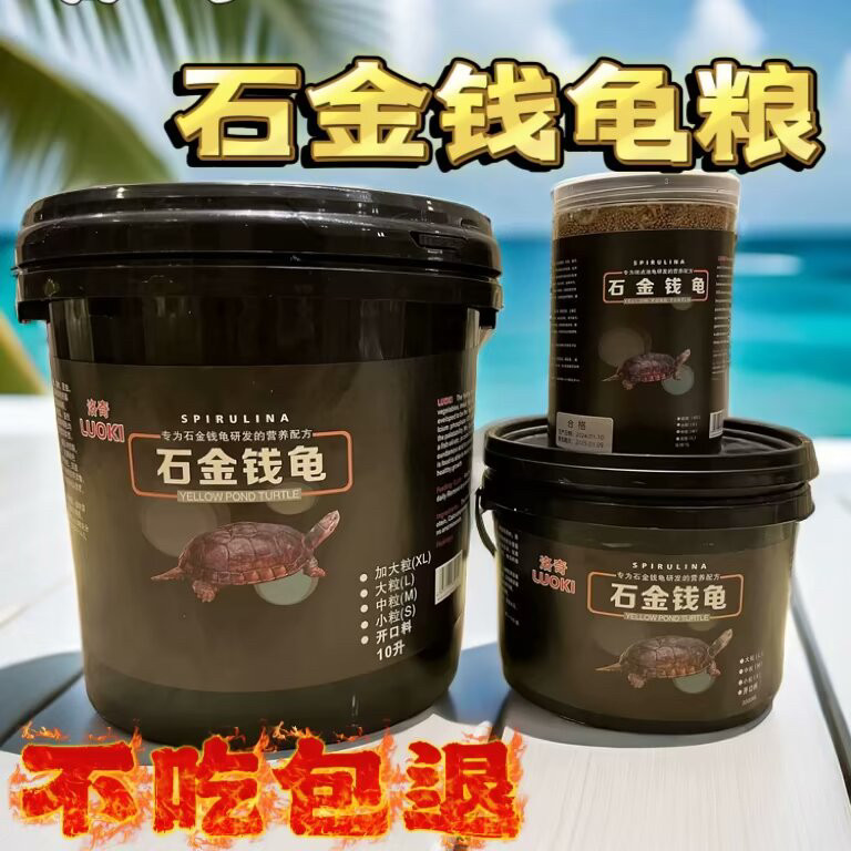 石金钱龟石龟苗黄喉拟水龟小青龟料南石金钱大龟鳄龟火焰龟巴西龟