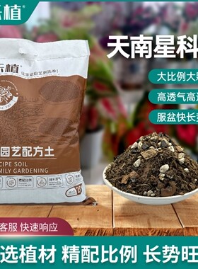 彩乐植天南星科热植专用土龟背竹彩叶芋种球秋海棠透水透气土壤