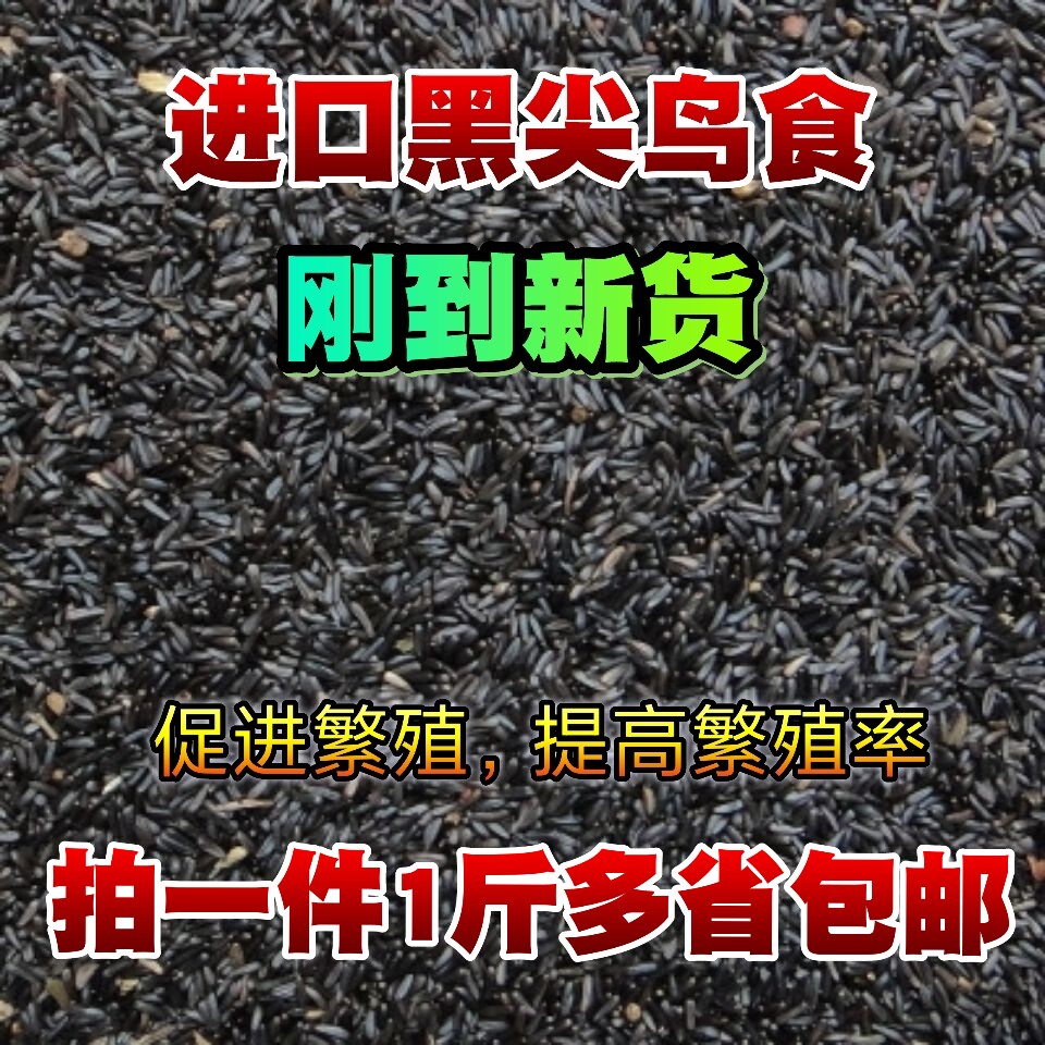 鸟食黑尖粟尼日尔草籽提性鸣叫玉鸟芙蓉鸟金青大金黄麻料鸟粮白尖