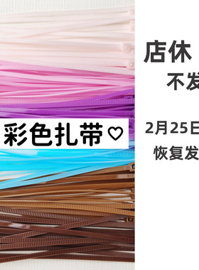 马卡龙彩虹色手作球扎自锁式尼龙白色手工diy塑料捆扎带绑带束口