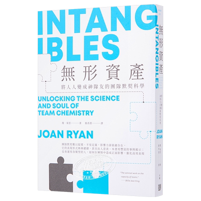无形资产 将人人变成神队友的团队默契科学 Intangibles 港台原版 Joan Ryan 行路 管理 领导