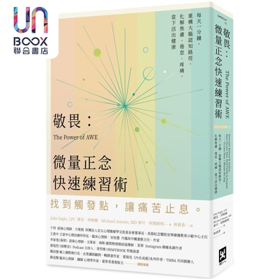 敬畏 微量正念快速练习术 港台原版 杰克伊格尔 麦可阿姆斯特 野人文化