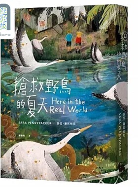 现货 抢救野鸟的夏天 港台原版 莎拉 潘尼帕克 小麦田