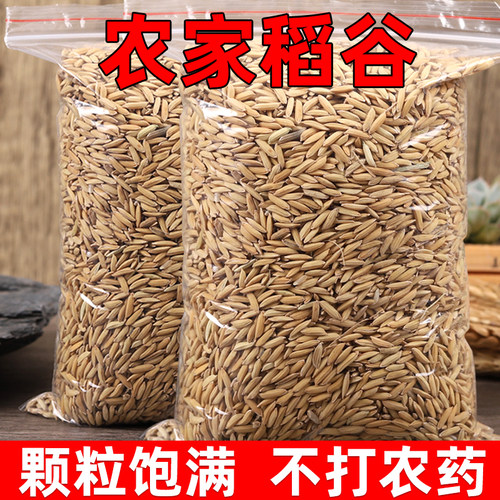 2025年稻谷带壳稻谷喂鸡鸭鸽粮饲料批发谷子水稻子喂鸡鸭鹅鸟杂粮