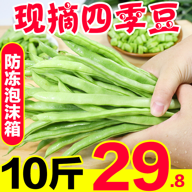 云南四季豆新鲜10斤 农家自种现摘新鲜刀豆无筋豆扁豆荷兰豆包邮在类目 水产肉类/新鲜蔬果/熟食, 新鲜蔬菜/蔬菜制品, 新鲜蔬菜, 其它中 - 来自Buy2taobao.com提供专业的淘宝代购服务