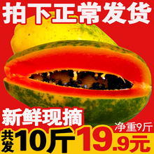 19.8元包邮 云南牛奶木瓜红心木瓜10斤