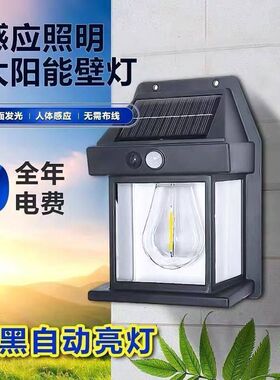 Solar outdoor wall lamp induction lamp courtyard night light