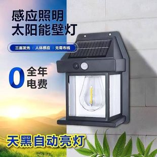 Solar outdoor wall lamp induction lamp courtyard night light