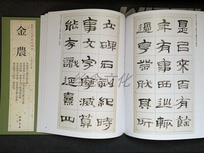 历代名家书法经典 金农 书法作品集隶书毛笔临摹字帖高清彩印繁体旁注相鹤经轴漆书七言联隶书临华山庙碑王冬梅编 隶书书法字帖