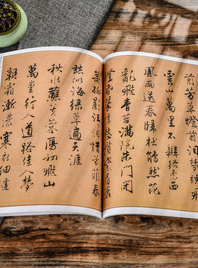 历代名家书法经典 唐寅 落花诗册 饮中八仙歌 自书诗词 达摩至慧能六祖师传 行书题扇诗等唐寅书法经典碑帖原碑原帖拓印无删减字帖
