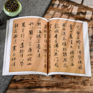 历代名家书法经典 唐寅 落花诗册 饮中八仙歌 自书诗词 达摩至慧能六祖师传 行书题扇诗等唐寅书法经典碑帖原碑原帖拓印无删减字帖