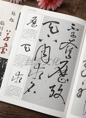 张旭草书临习技法精解