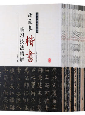 历代名家碑帖临习技法精解 赵孟頫 王献之 王羲之 颜真卿 褚遂良 欧阳询 唐寅 张旭 王铎 邓石如篆书 孙过庭草书 书法碑帖临摹字帖
