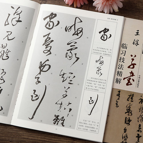 王铎草书临习技法精解  8开大本  98页