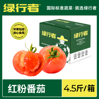 绿行者自然熟红粉番茄沙瓤西红柿