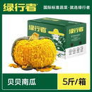 绿行者 贝贝南瓜正宗板栗味小南瓜新鲜蔬菜老南瓜辅食粉糯辅食