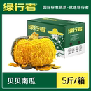 绿行者 贝贝南瓜正宗板栗味小南瓜新鲜蔬菜老南瓜辅食粉糯辅食