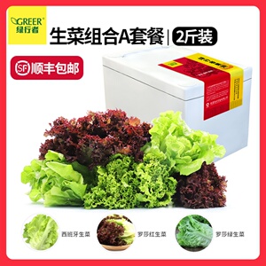 【绿行者】轻食餐生菜沙拉3种生菜组合2斤低脂蔬菜包蔬菜即食A