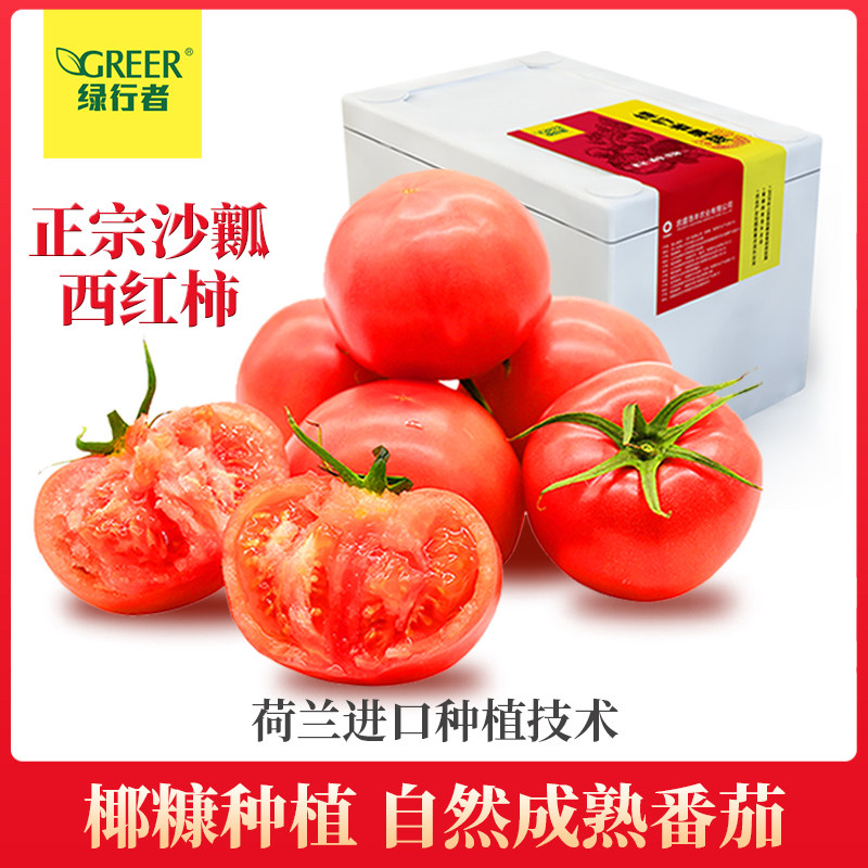 绿行者桃太郎番茄自然熟西红柿沙瓤红番茄孕妇水果非千禧圣女果