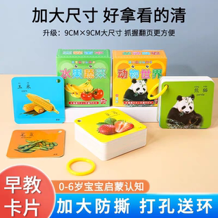宝宝认知卡片 3岁看图识认物早教卡动物卡片幼儿启蒙数字认知书