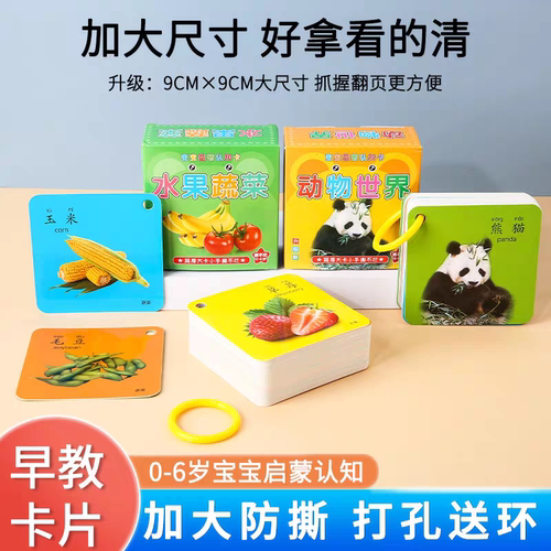 宝宝认知卡片0-3岁看图识认物