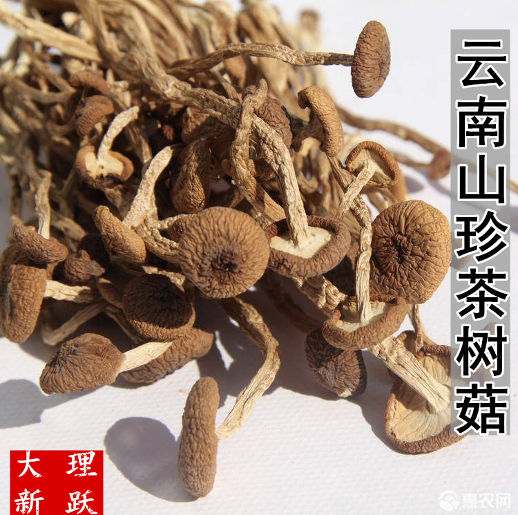 云南特产茶树菇 新货干品嫩菇不新鲜松茸/菌菇