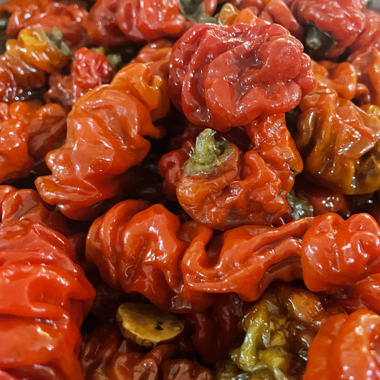 云南大理特产巍山泡皱皮辣椒 皱皮红辣椒扭扭辣泡辣椒 即食下饭菜