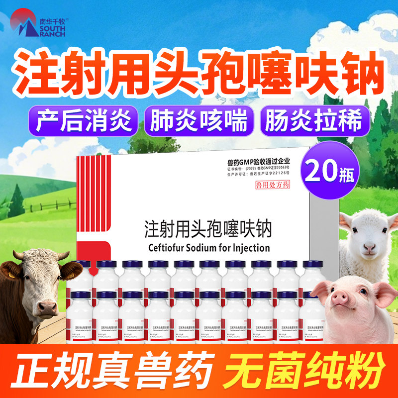 注射用头孢噻呋钠注射兽用粉针速溶母猪牛羊用产后消炎针剂鱼腥草