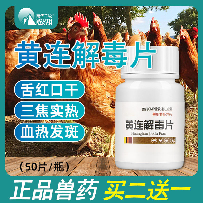 兽药兽用黄连解毒片家养鸡禽药片剂舌红口干三焦实热泻火解毒