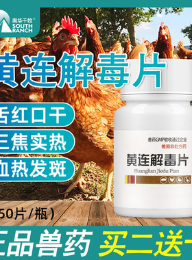 兽药兽用黄连解毒片家养鸡禽药片剂舌红口干三焦实热泻火解毒