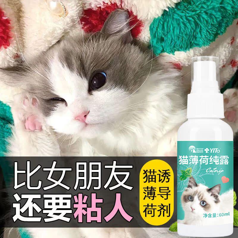 猫薄荷喷雾快乐水清新香水喷剂逗猫自嗨猫零食猫草颗粒舒缓诱导剂图片