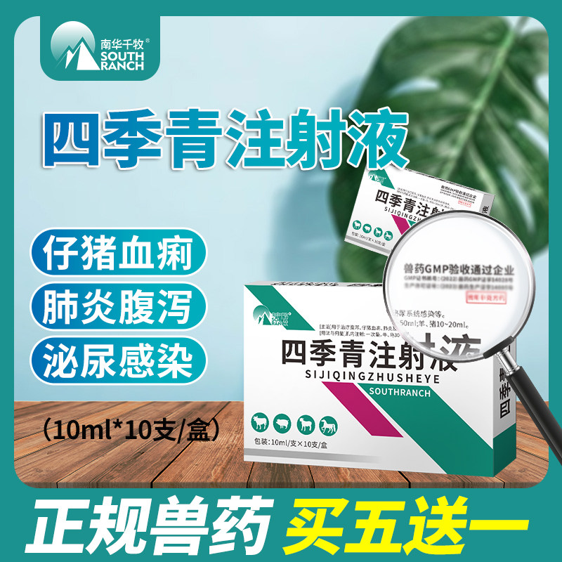 兽药四季青注射液猪药牛羊兽用针剂仔猪拉稀血痢疾停肺炎尿路感染