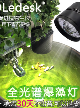 乐迪全光谱筒灯鱼缸爆藻自然增色