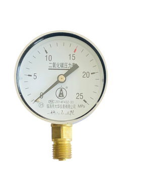 YT60二氧化碳压力表头2.5级精度可检测正装表加厚防摔25MPa1MPa