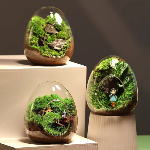工厂批发公司团购苔藓微景观盆栽创意办公室桌面绿植生态瓶小盆景