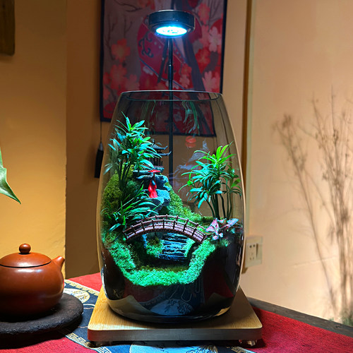 登云台苔藓微景观生态瓶绿植桌面摆件透明球容器室内装饰造景摆件
