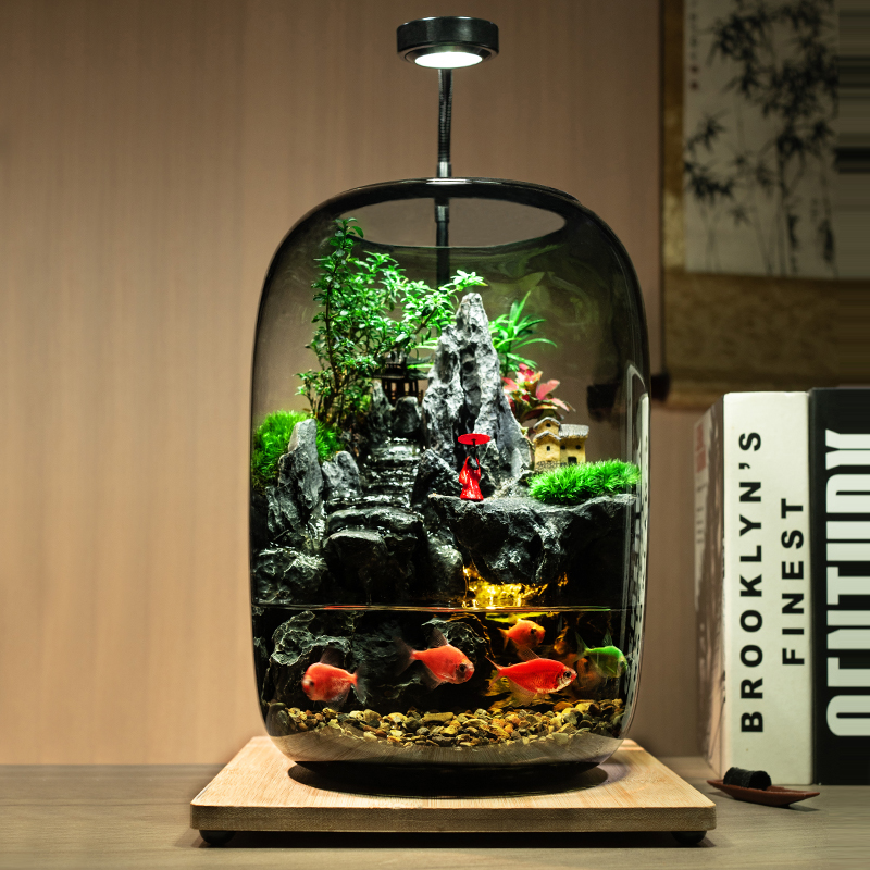 新款大号流水款养鱼缸苔藓微景观办公室桌面摆件造景真植物送礼