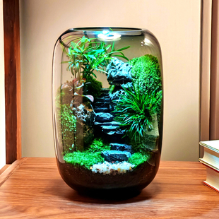 成功之路苔藓微景观绿植生态瓶玻璃造景植物盆景办公桌面盆栽装饰