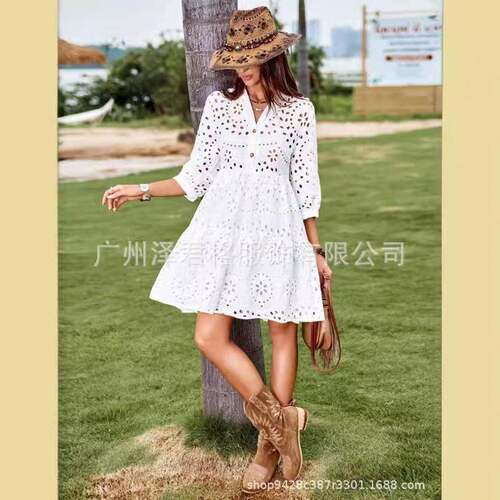 Women's Plain Embroidered Hollow Out Dress  Elegant V Neck